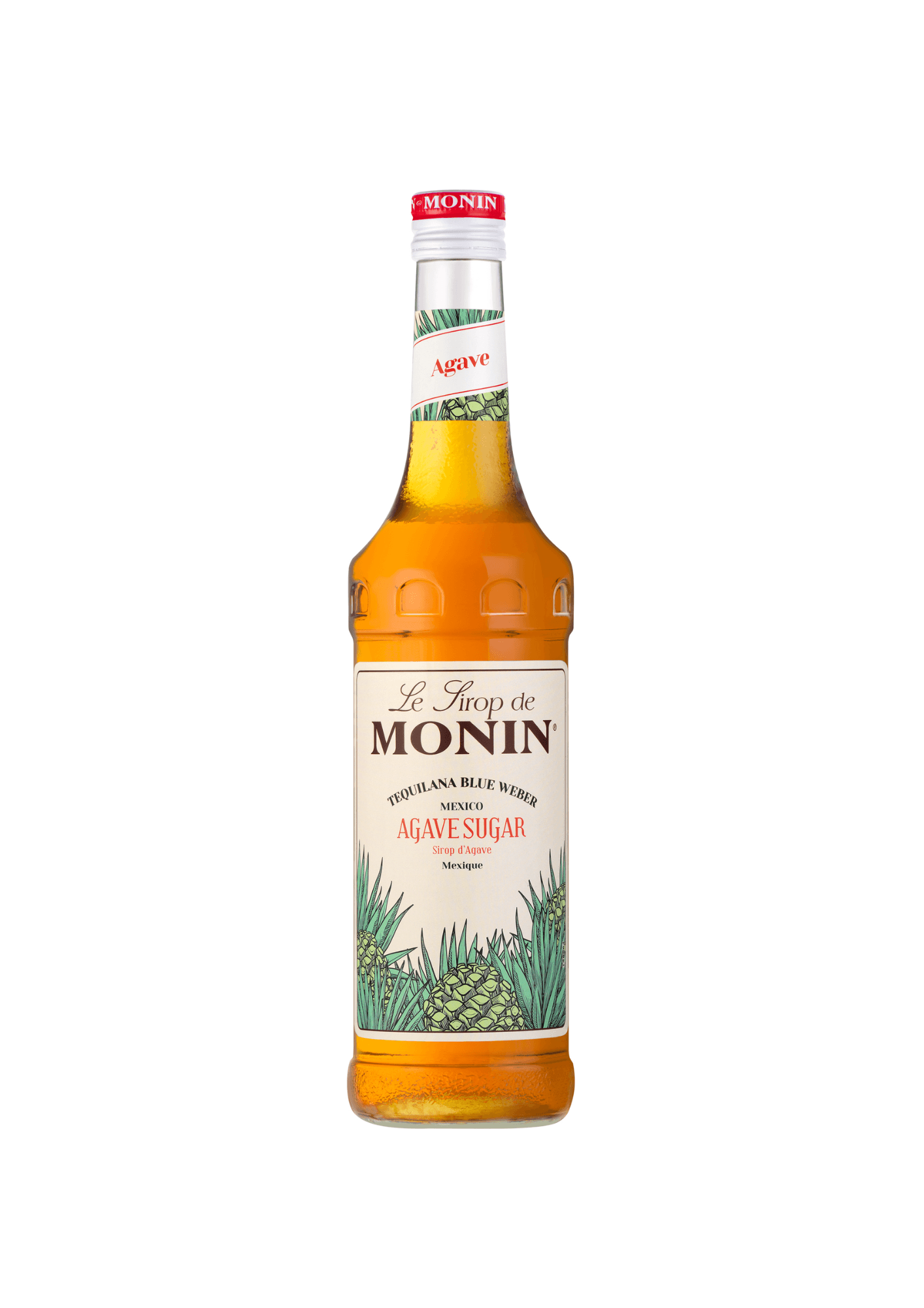 Monin Sirop d'Agave - 70 cl