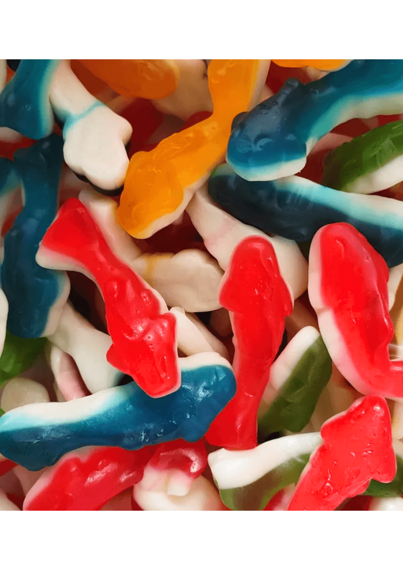 Jelly Joy Requin - 1 kg
