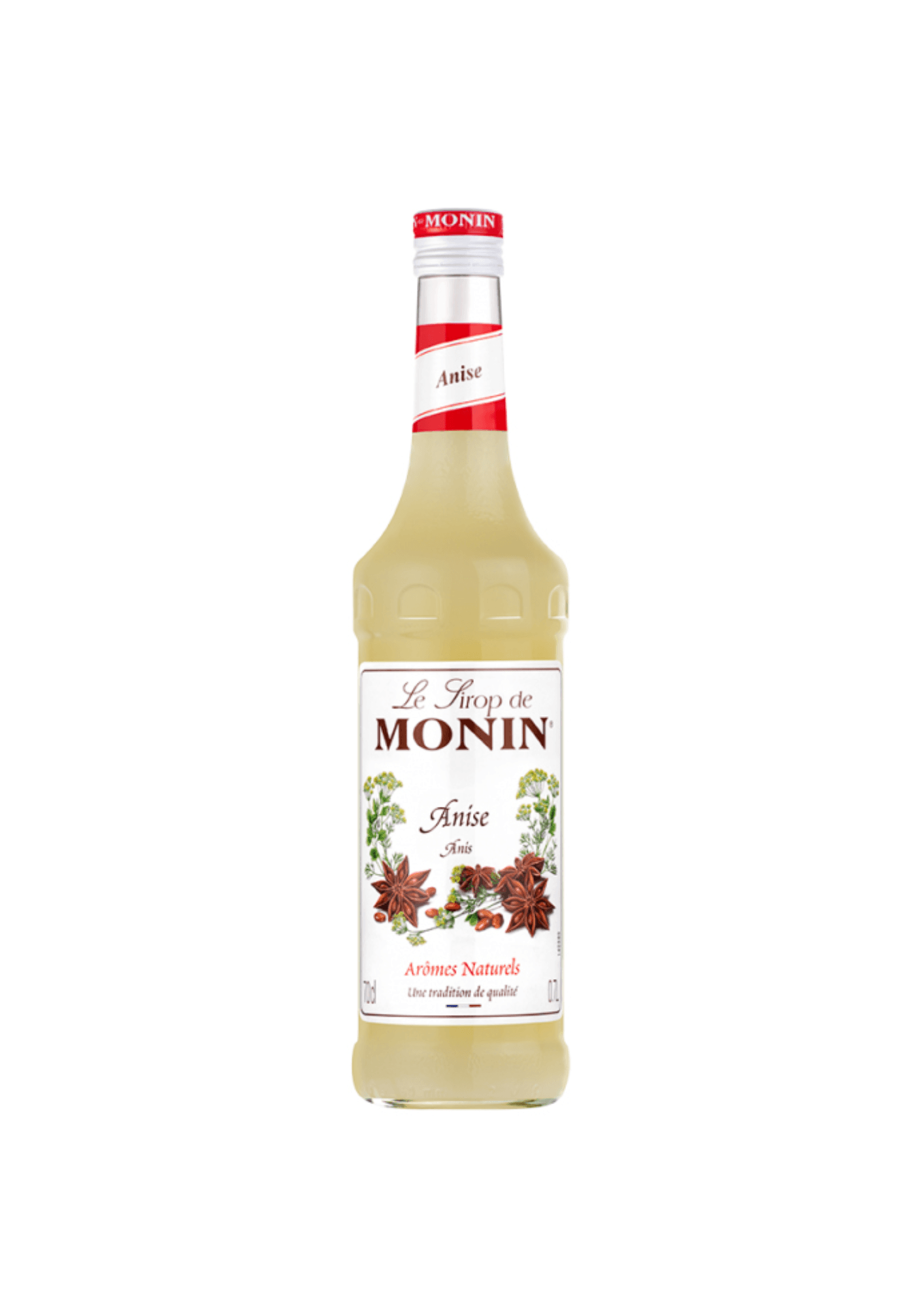 Monin Sirop Saveur Anis - 70 cl