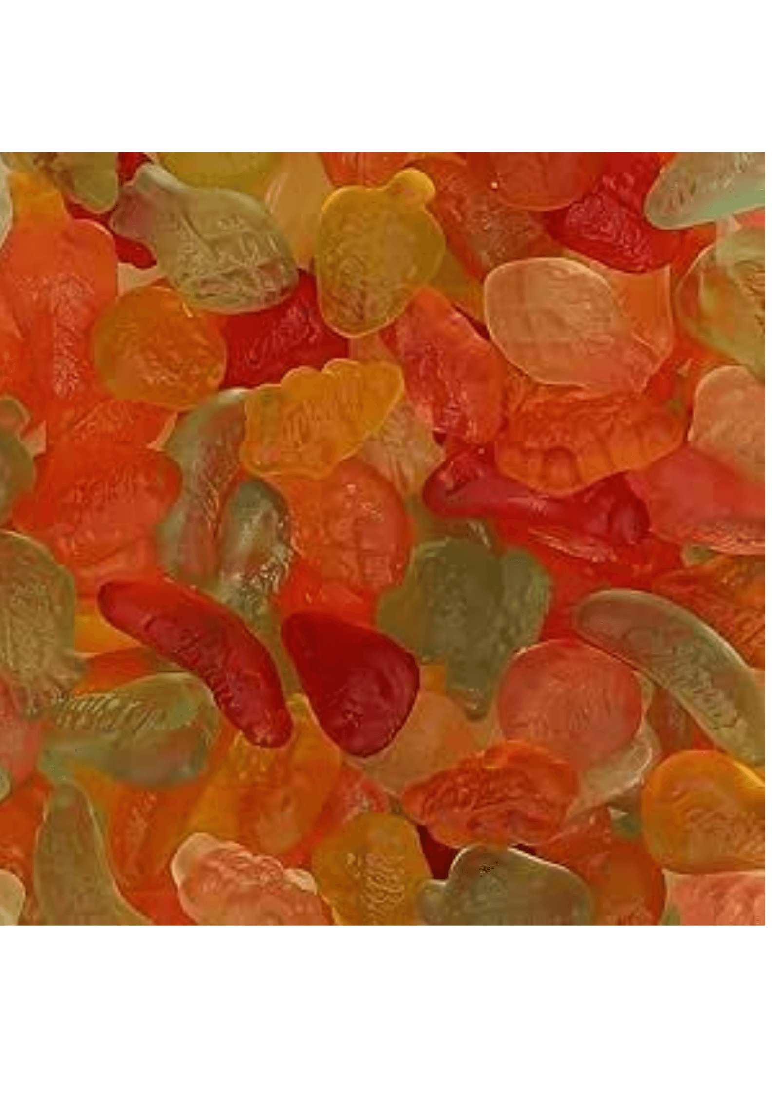 de Bron Winegums Sans Sucres - 1 kg