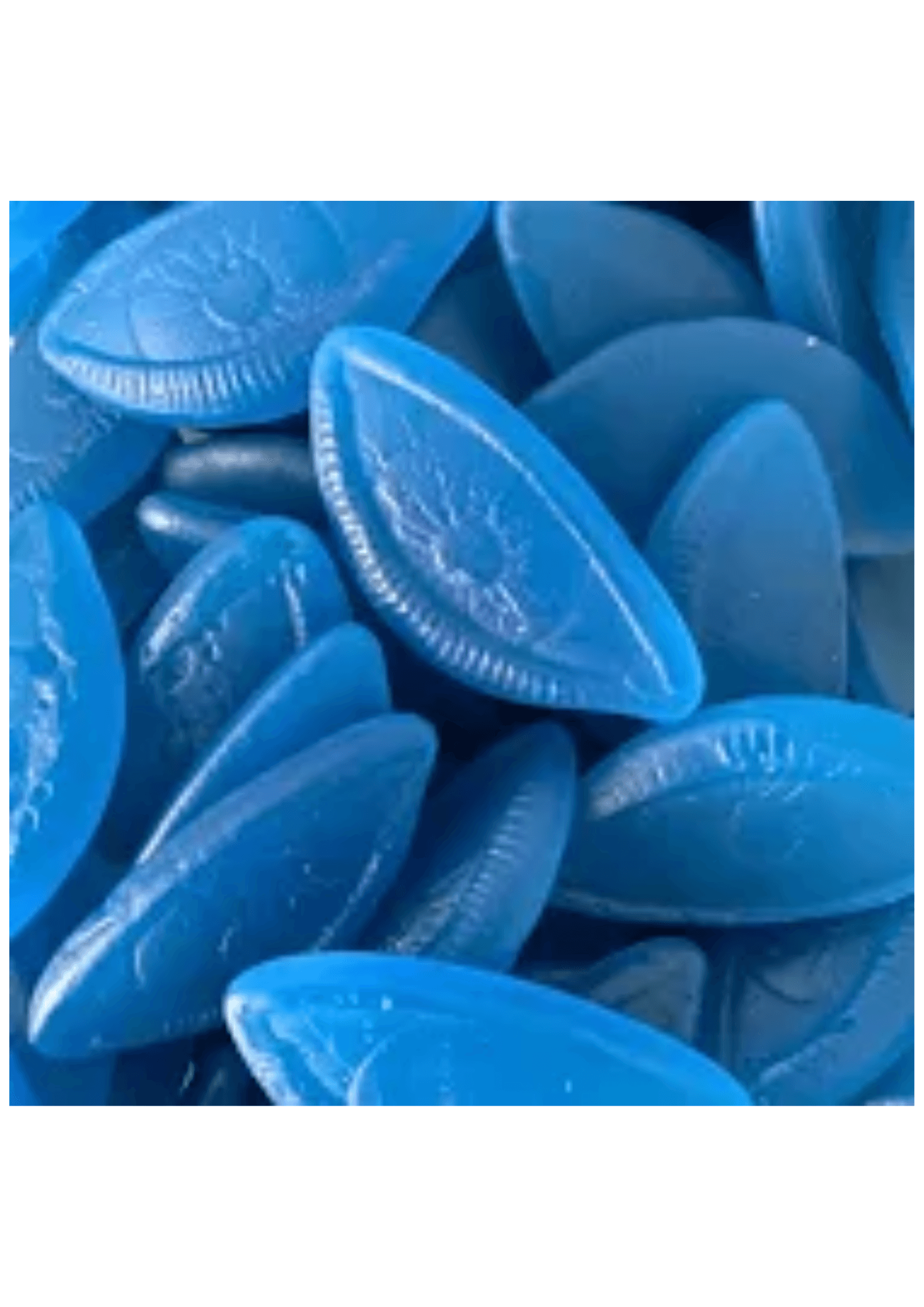 Frisia yeux bleus - 1,5 kg